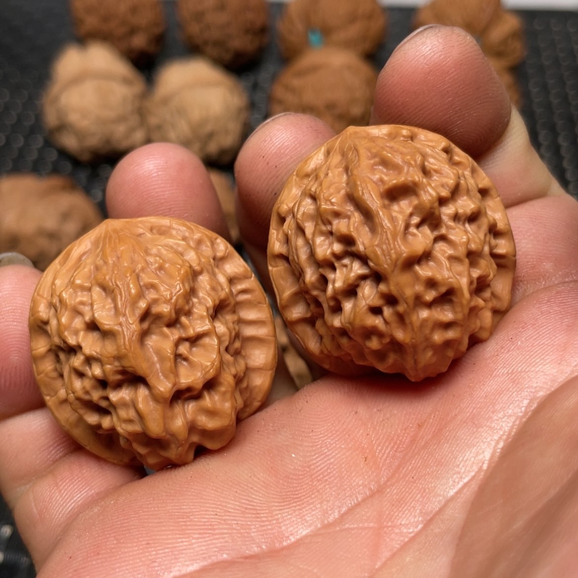 【闪购商品】文玩核桃把件33野生瓷娃娃（官印）手捻