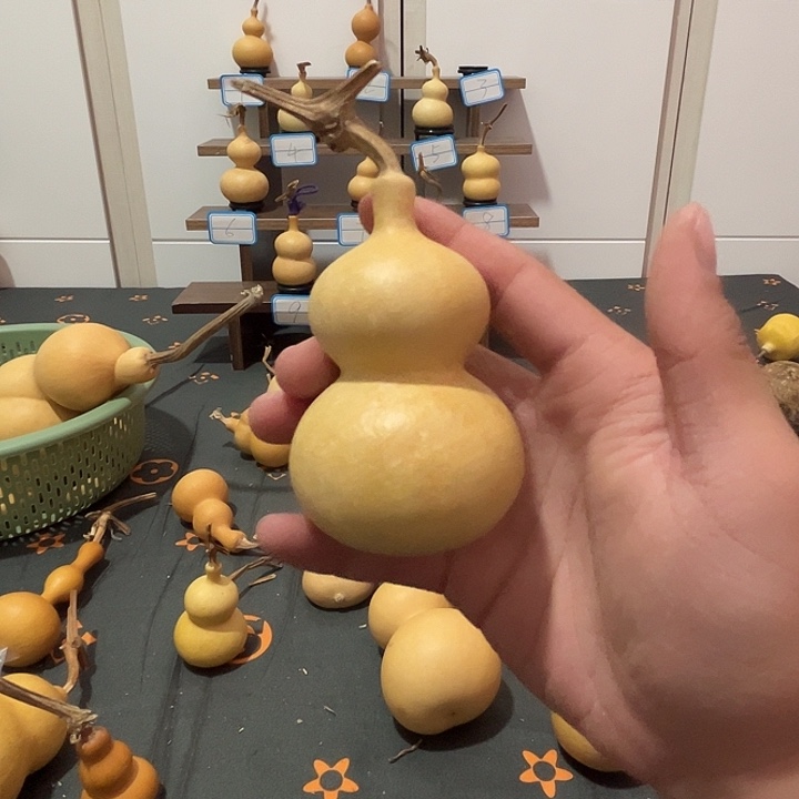 葫匿名葫芦55度小奶瓶