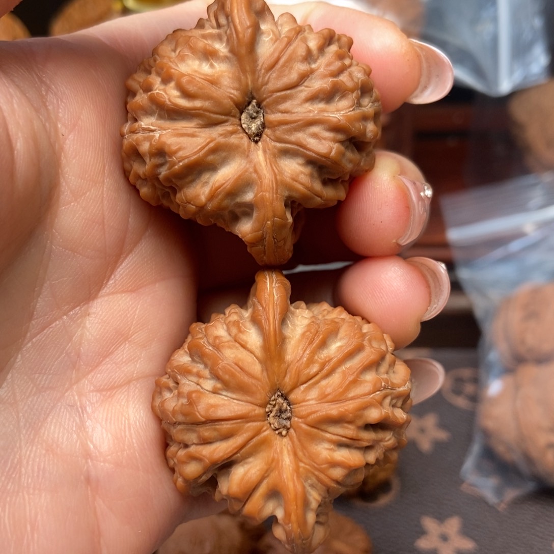 良***生大叶紫檀（黑酸枝木类）血麒麟