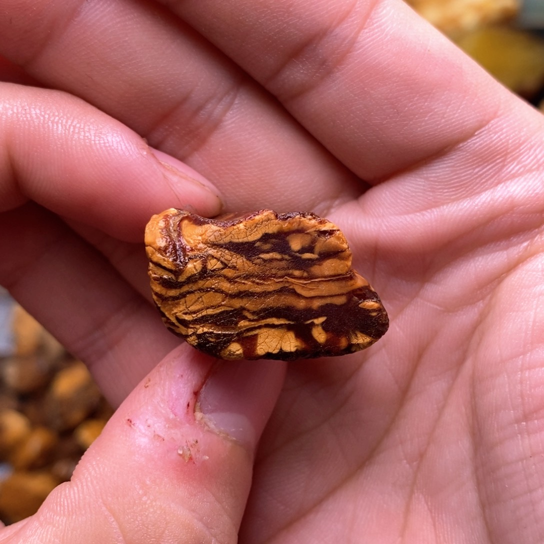 【闪购商品】定制琥珀天然蜜蜡