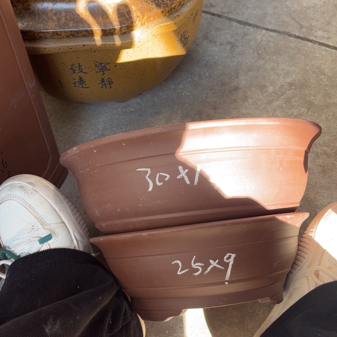 紫砂花盆盆景艺术