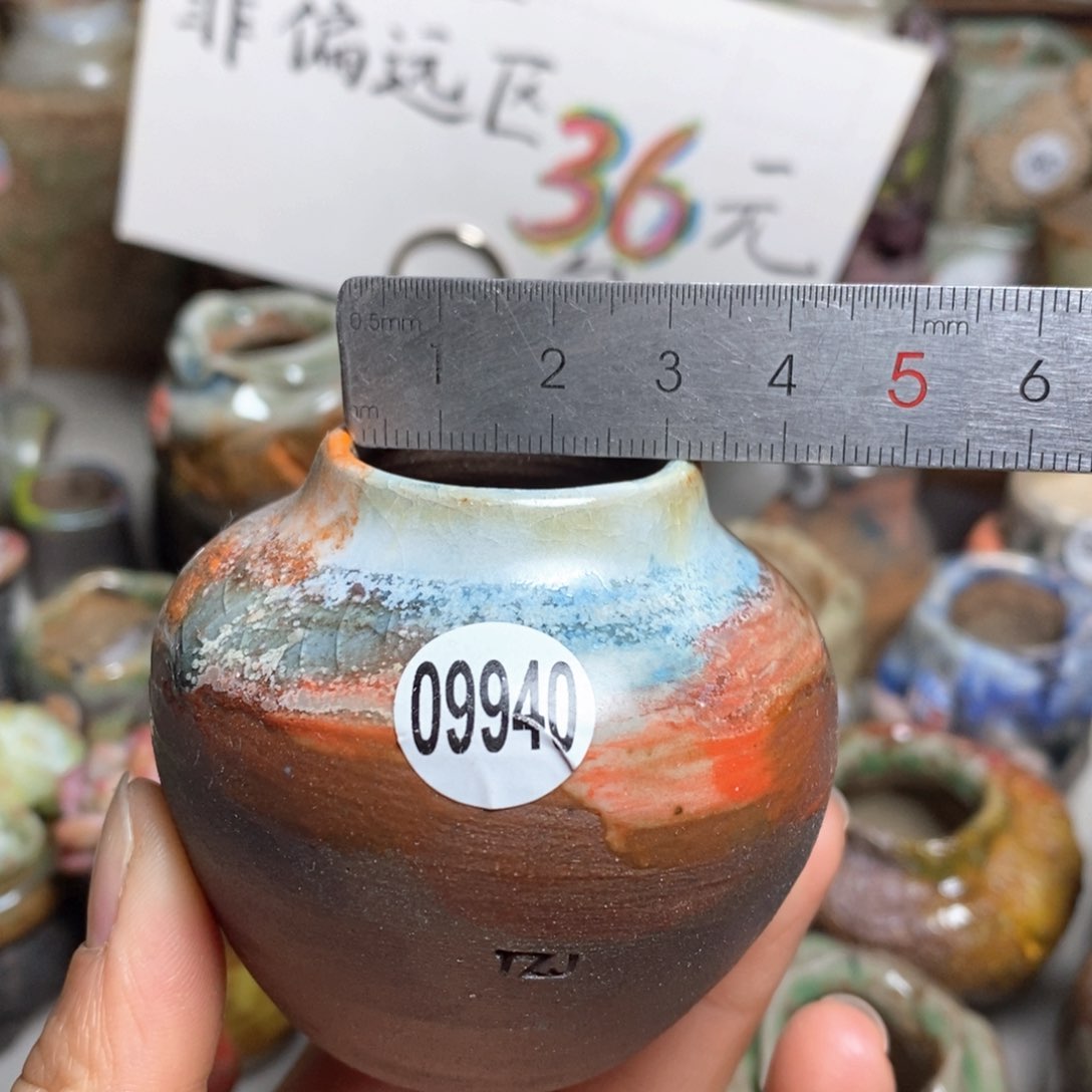 花盆拍5送一个小礼物