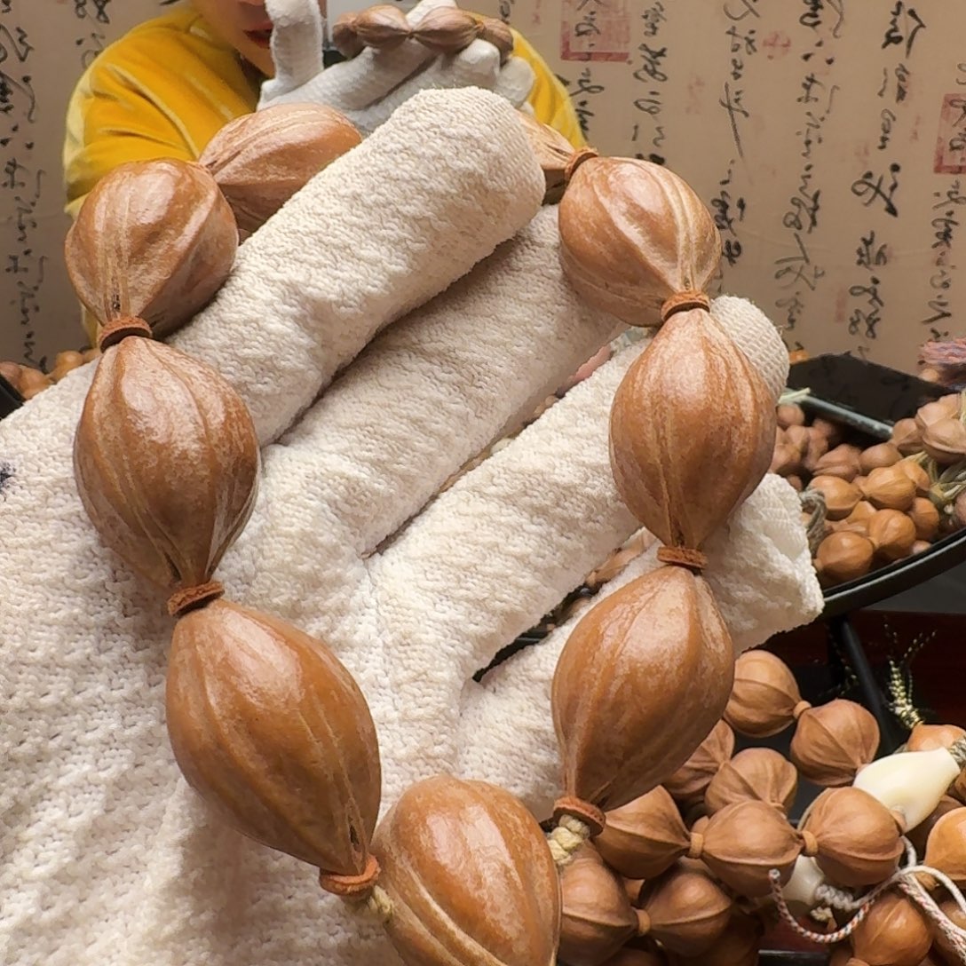 橄榄核手串鲨鱼呗