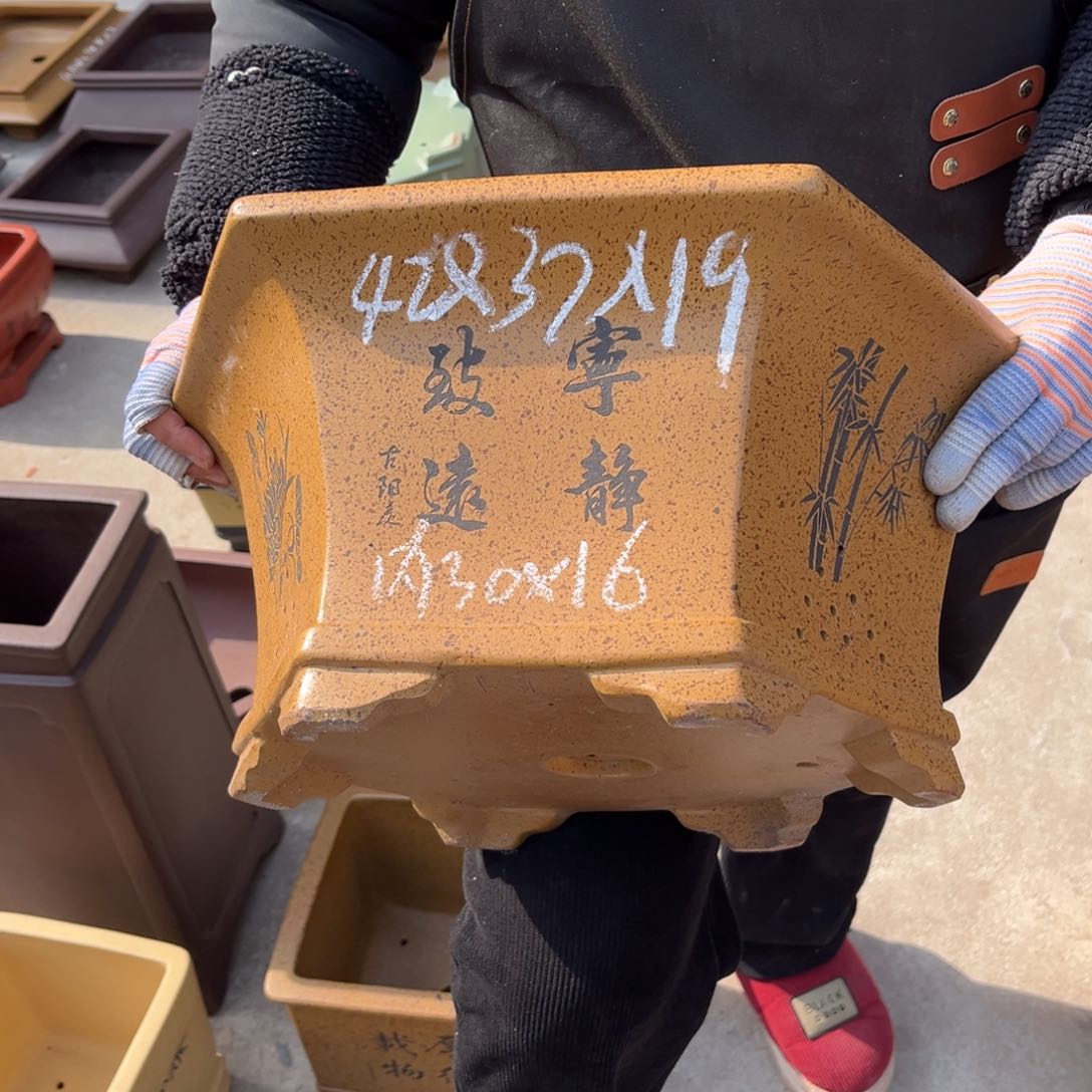 紫砂花盆盆景艺术