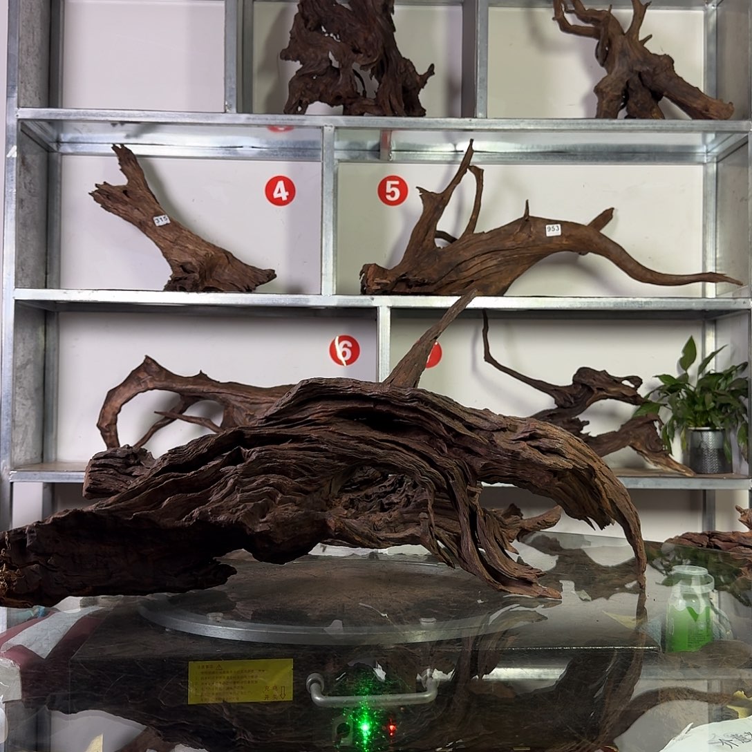 云南紫柚木炭化老料