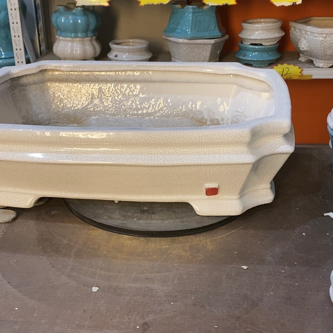 花盆里种满花了多少个品种