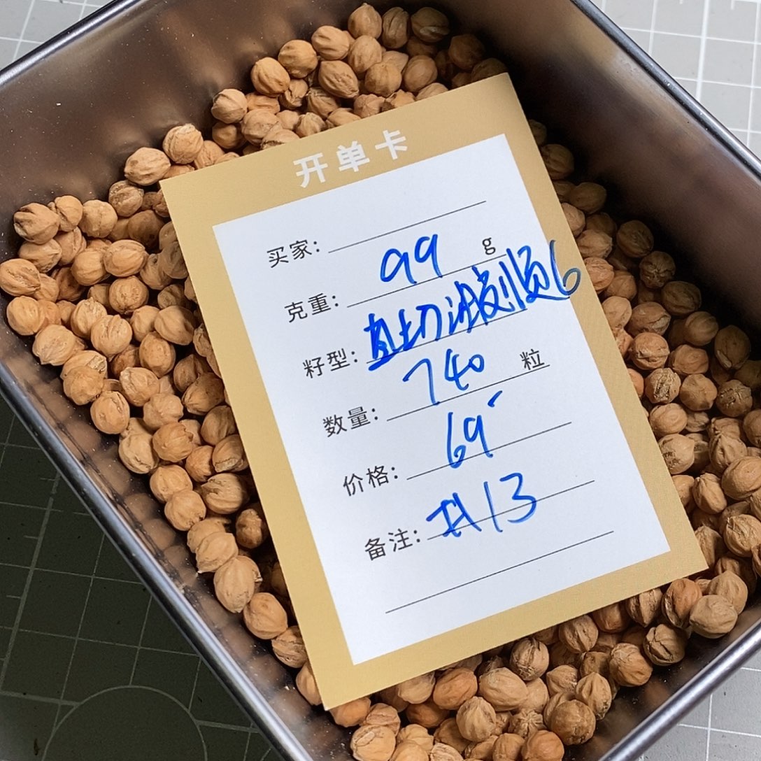 柏香籽/百香籽吊坠13号