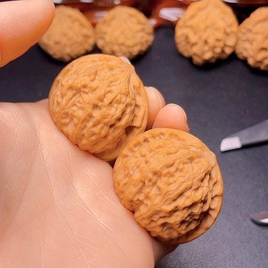 大叶紫檀（黑酸枝木类）@*客