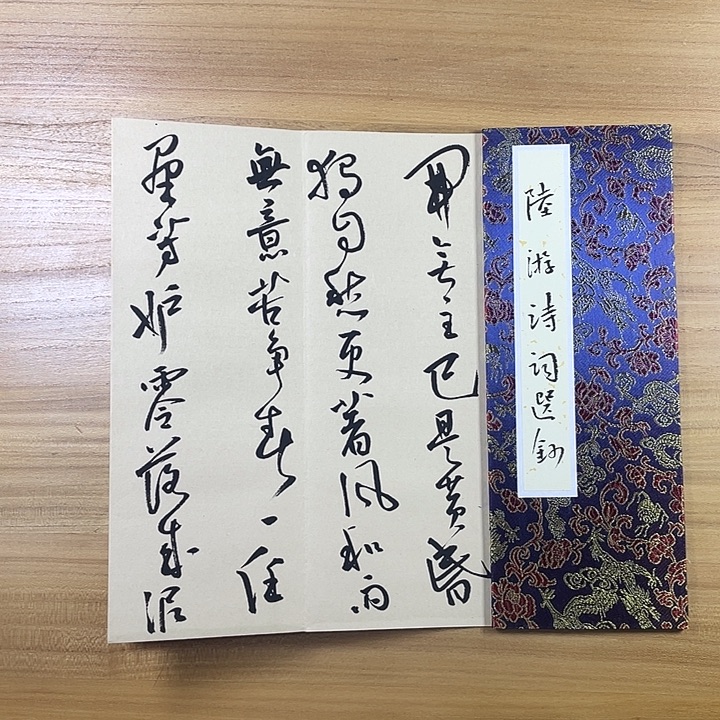 书法中书协会员作品