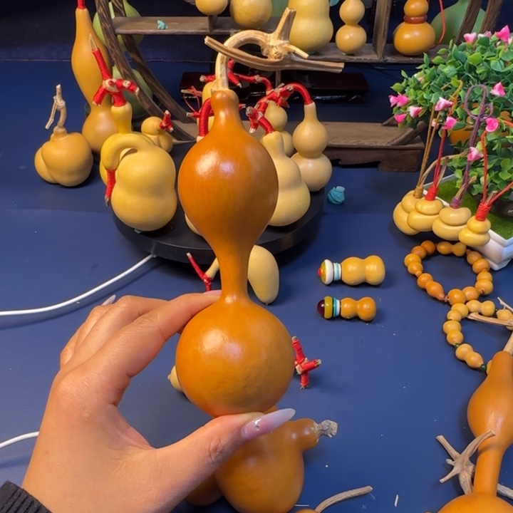 提***吴葫芦哈哈哈哈哈哈哈55