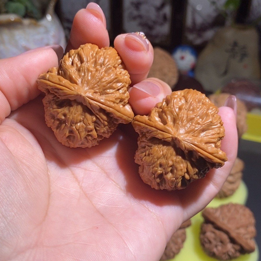 把件文玩核桃白狮子37.5