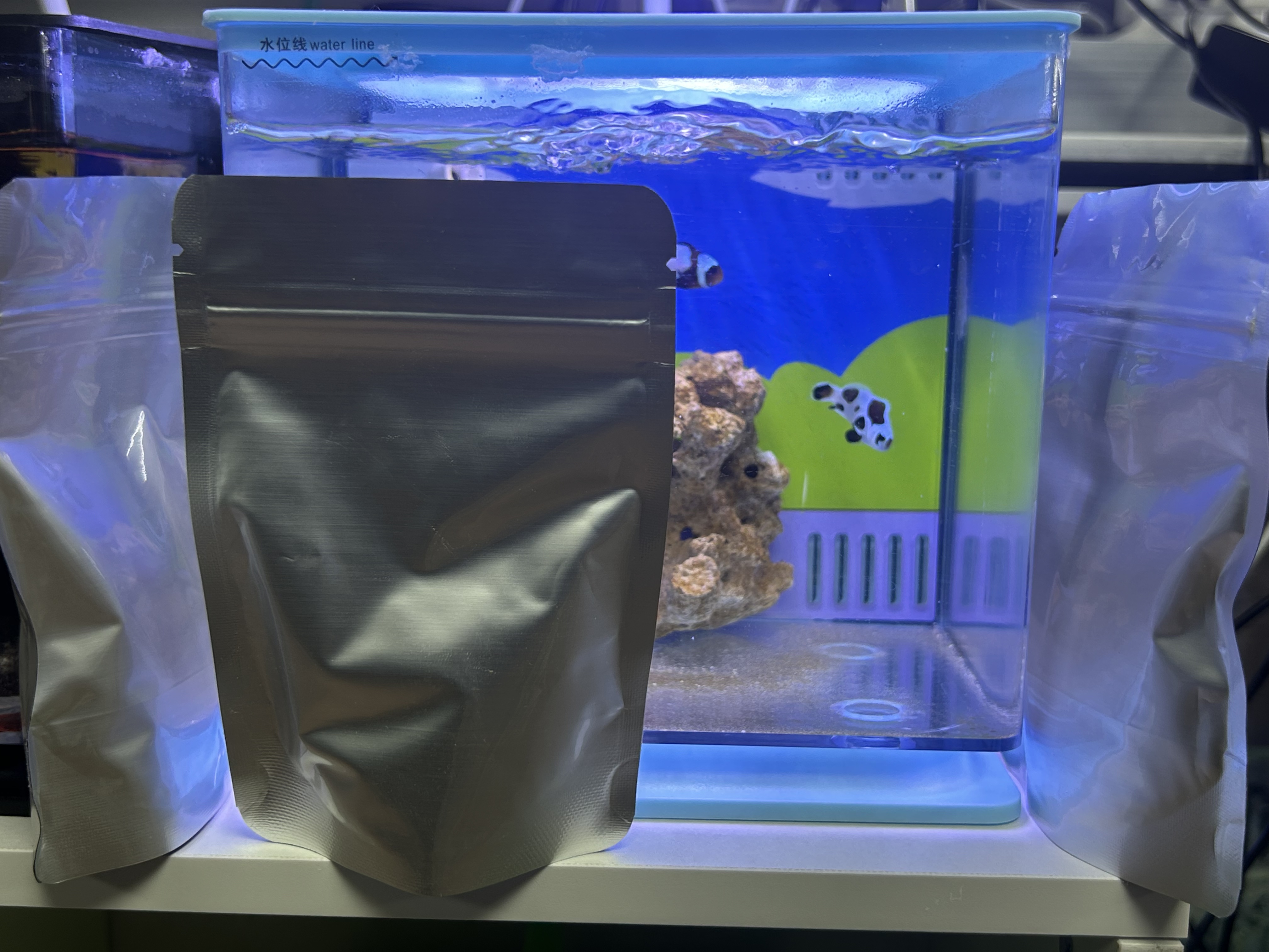 海水观赏鱼小丑鱼颗粒饲料鱼场自用粮