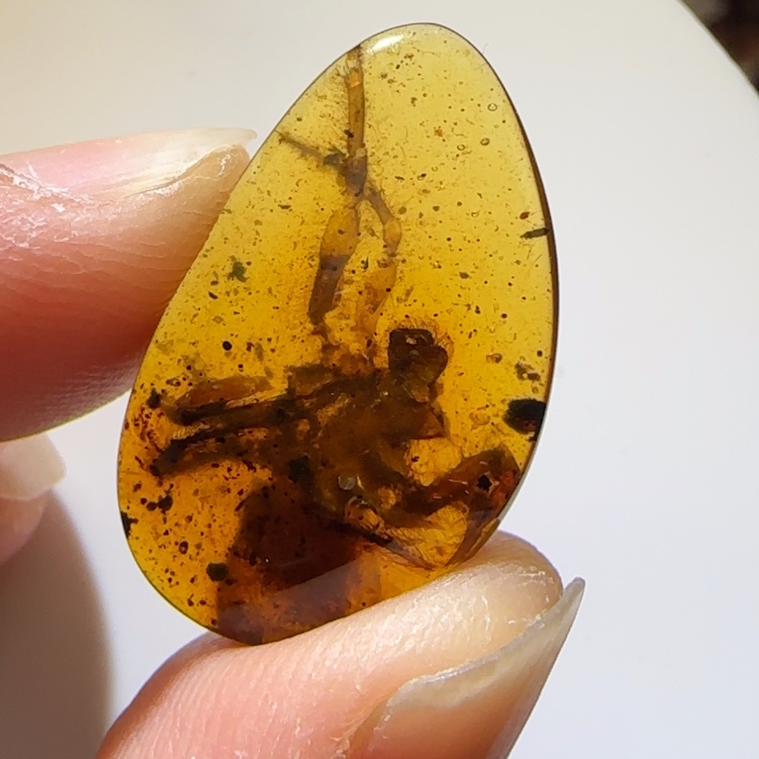 未镶嵌琥珀裸石虫珀