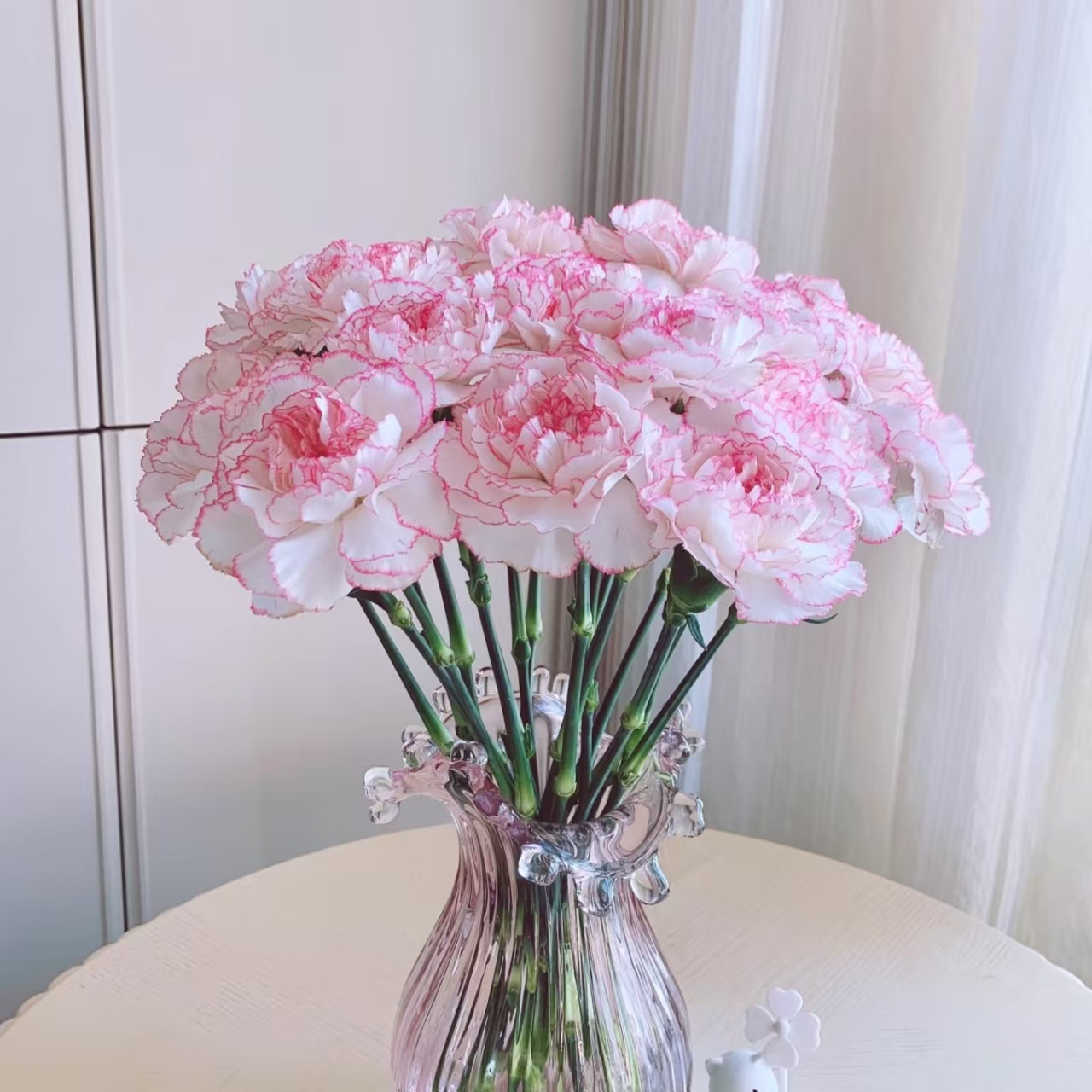 【康乃馨】小天使康乃馨 基地直发 |全场鲜花任意满2单及以上包邮