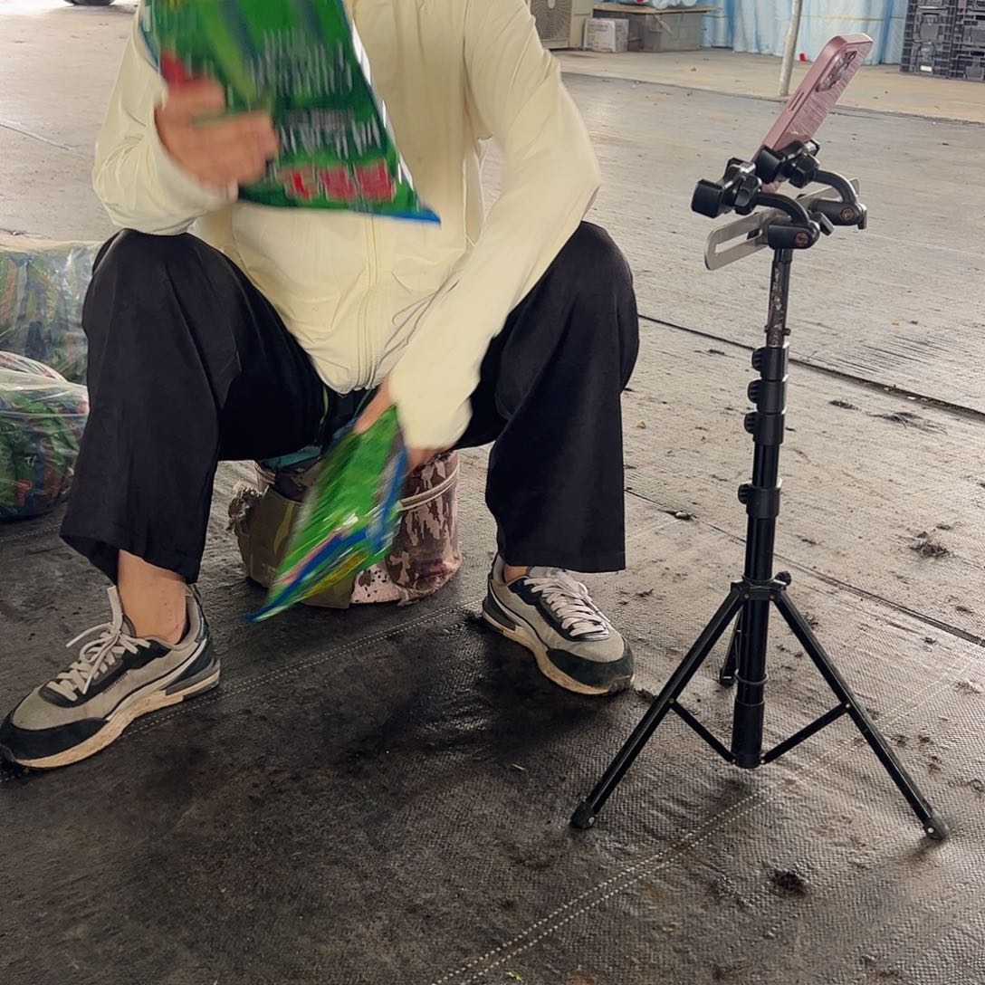 大部分开放少量花苞土一包