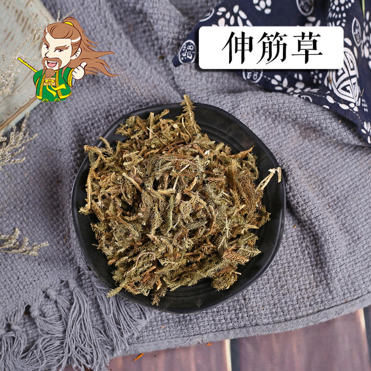 褚药 伸筋草 精选品质