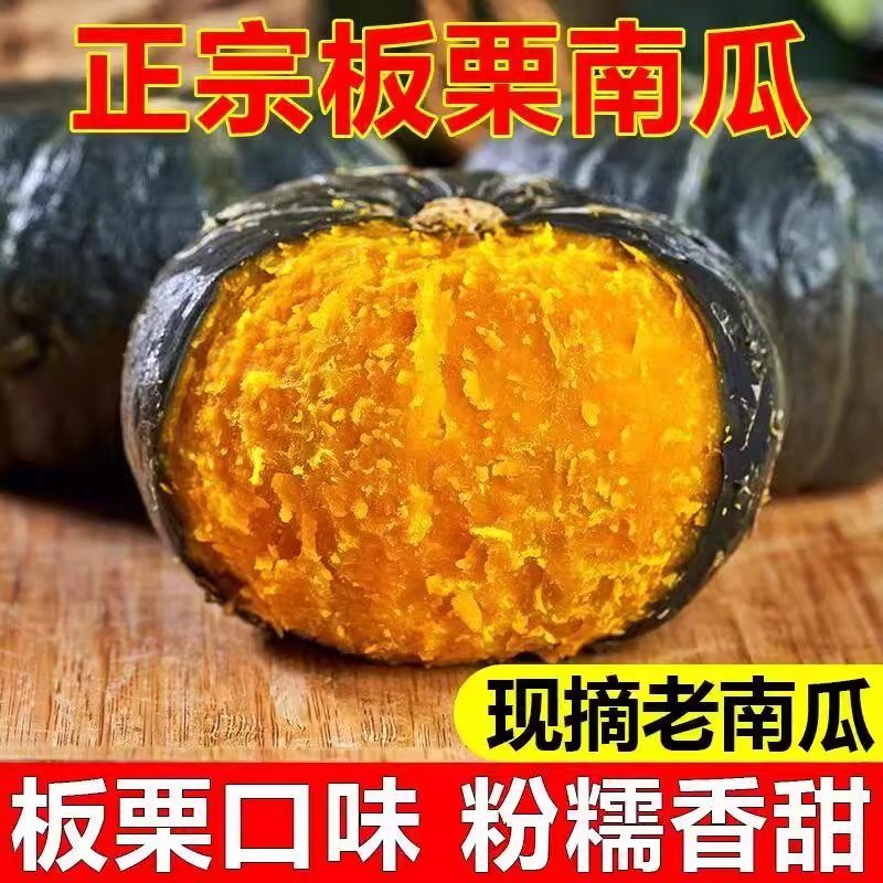 贝贝南瓜正宗板栗味小南瓜栗子南瓜栗面粉糯香甜婴儿孕妇