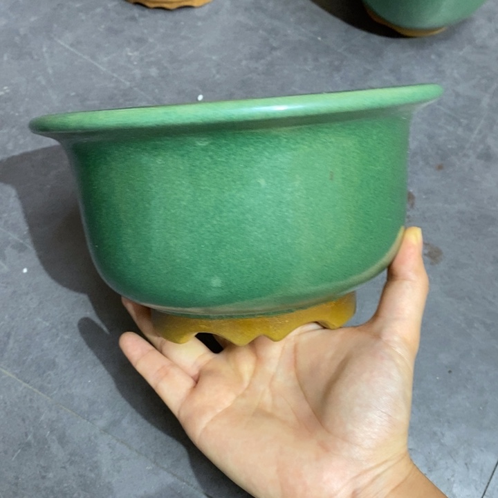 紫砂花盆牵****?福利来啦