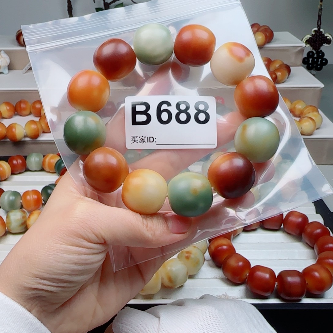 吊坠菩提根/象牙果菩提2.26