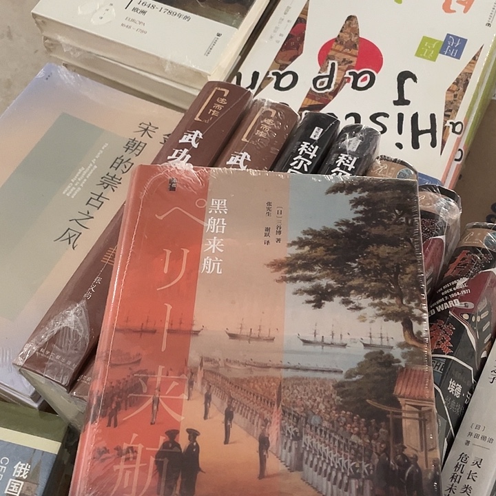 黑船来航微瑕微瑕4