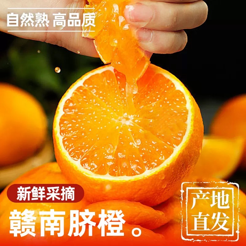 z正宗赣南脐橙产地直发 香甜爆汁新鲜应季水果坏果包赔拍5斤送5斤