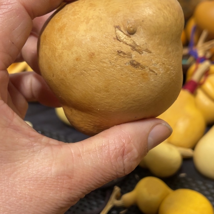 用***3葫芦哈哈哈哈哈哈哈哈