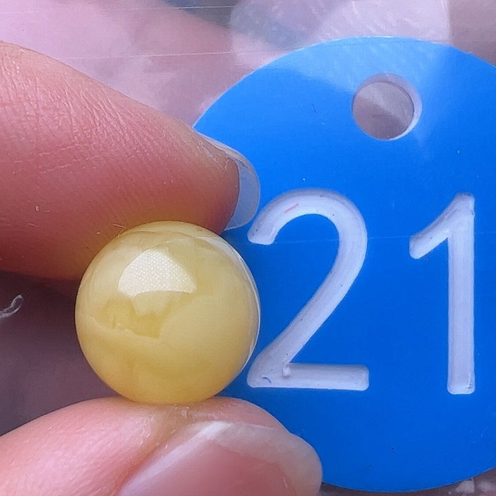 蜜蜡裸石未镶嵌11.5m m