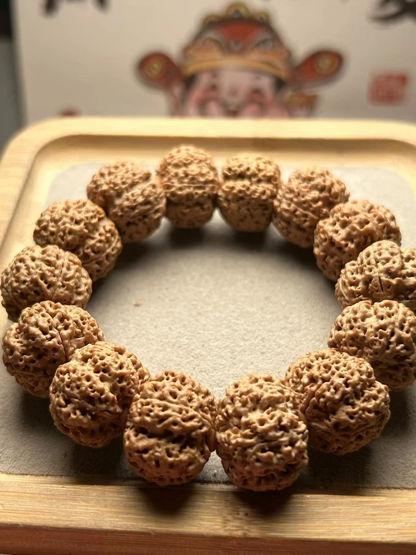 尼泊尔巨肉菠萝蜜蜂王