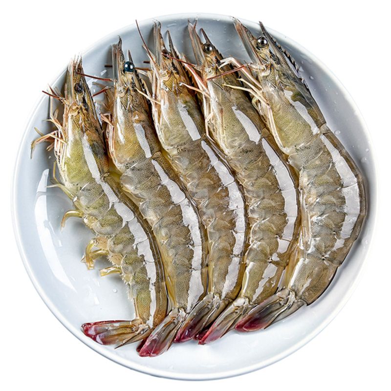 一网捞基围虾 约500g（保鲜不保活）