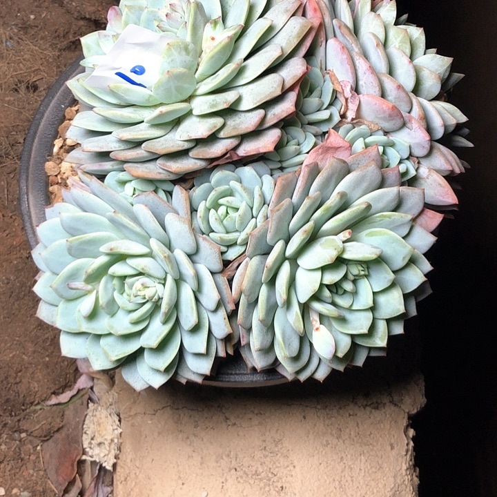 蔷**院10////////////////