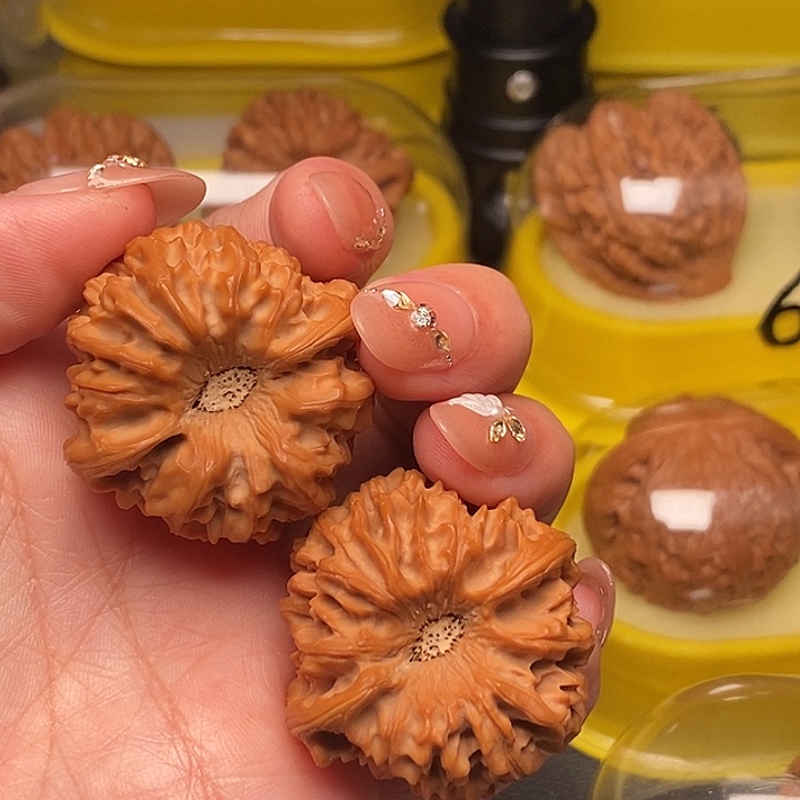 单***机39巨凹三角龙门涧     