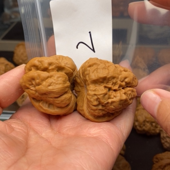 桃核吊坠余*2蛙蛙蛙蛙