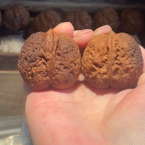 阿***阿文玩核桃把件老秤砣带彩41+阿努