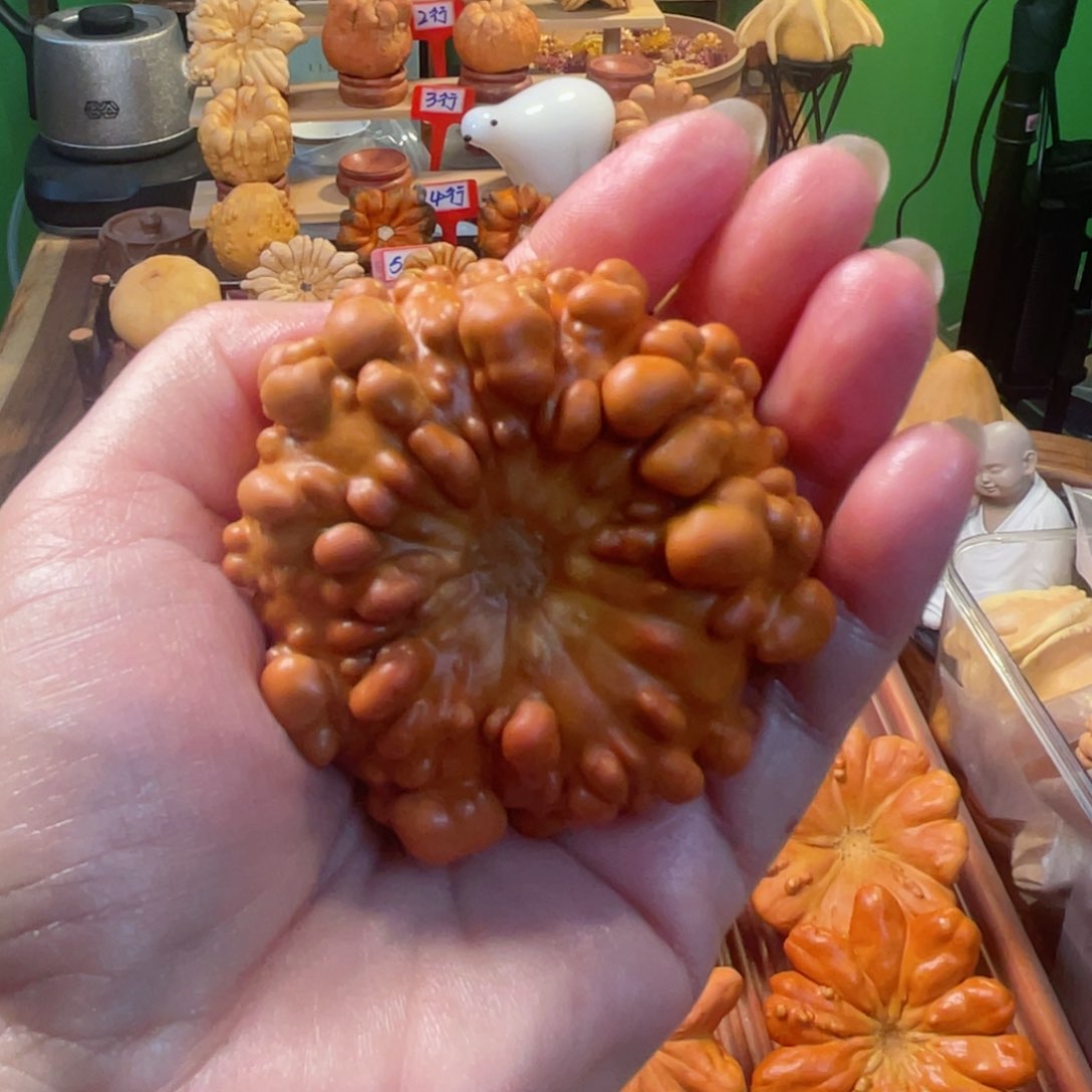 ꧁****꧂墨西哥葫芦爆红疙瘩