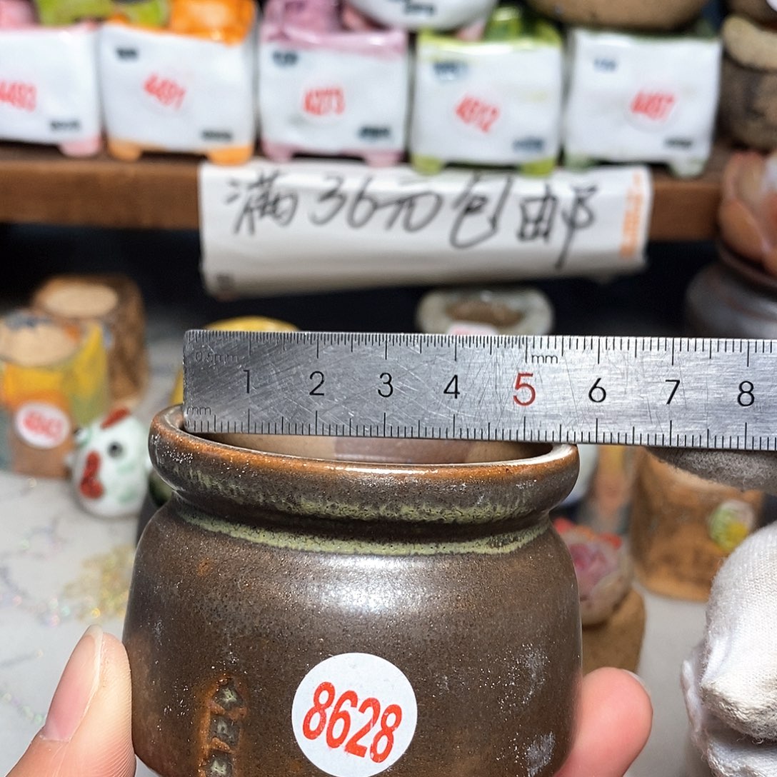 红陶拍5送一个小