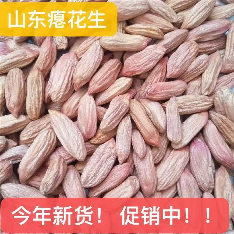 山东新瘪花生生吃甘甜新鲜小篦子花生既食小零食花生批发斤花生同城送