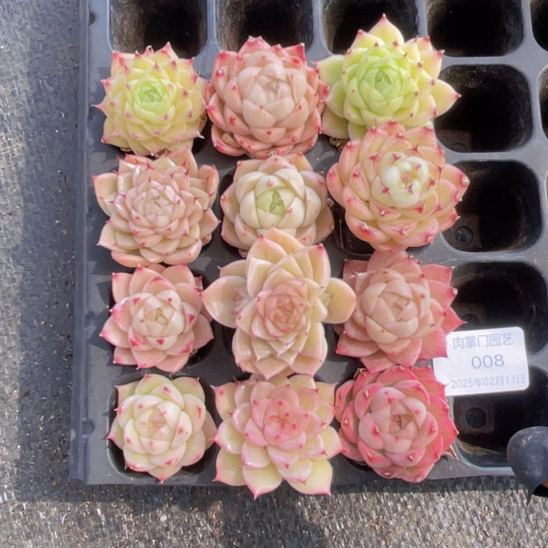 我们的生活方式是什么008