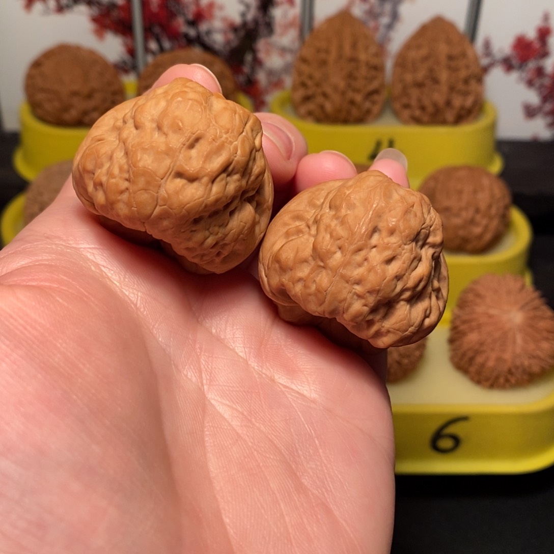 文玩核桃把件38尺古蟾核桃