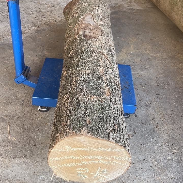 小叶桢楠原木1根（开三公分厚）