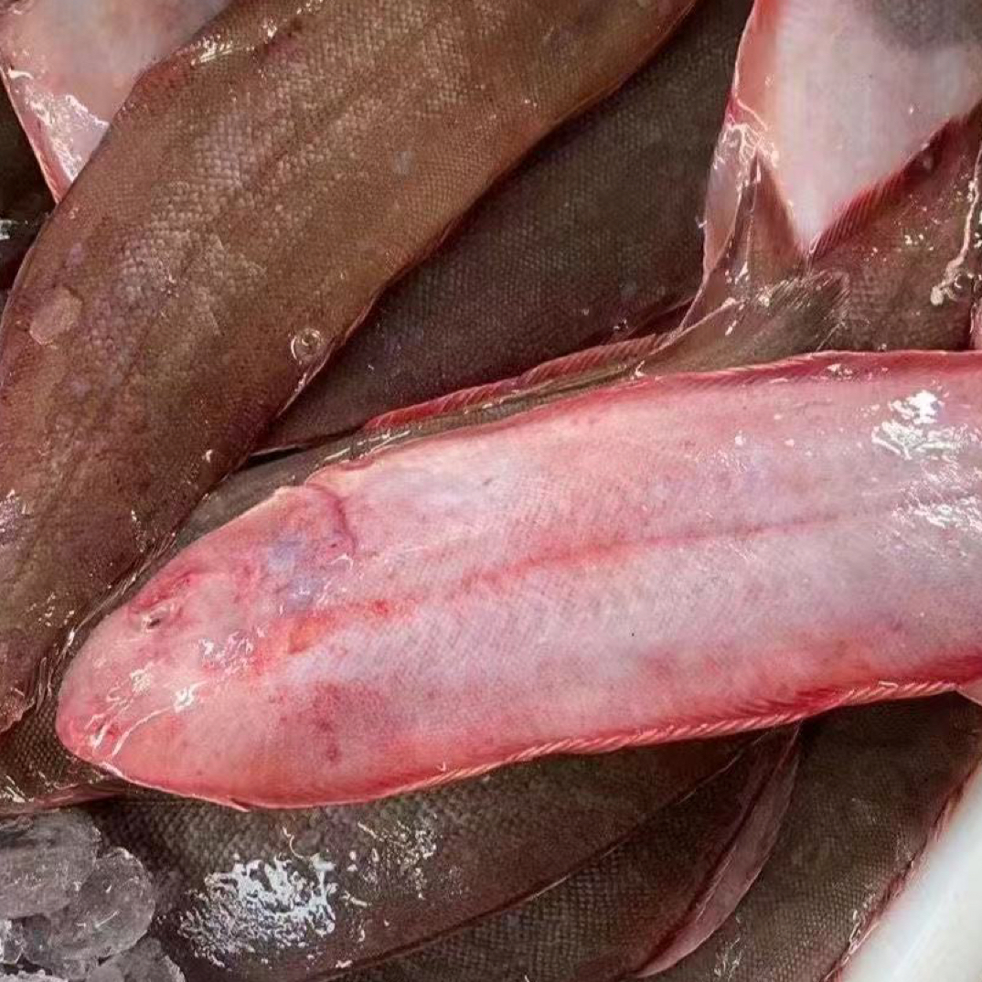 舟山野生海捕龙利鱼舌头鱼踏板鱼 3-5条/斤