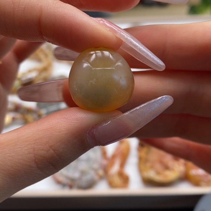 硅化玉吊坠(不含链)未镶嵌2号链接