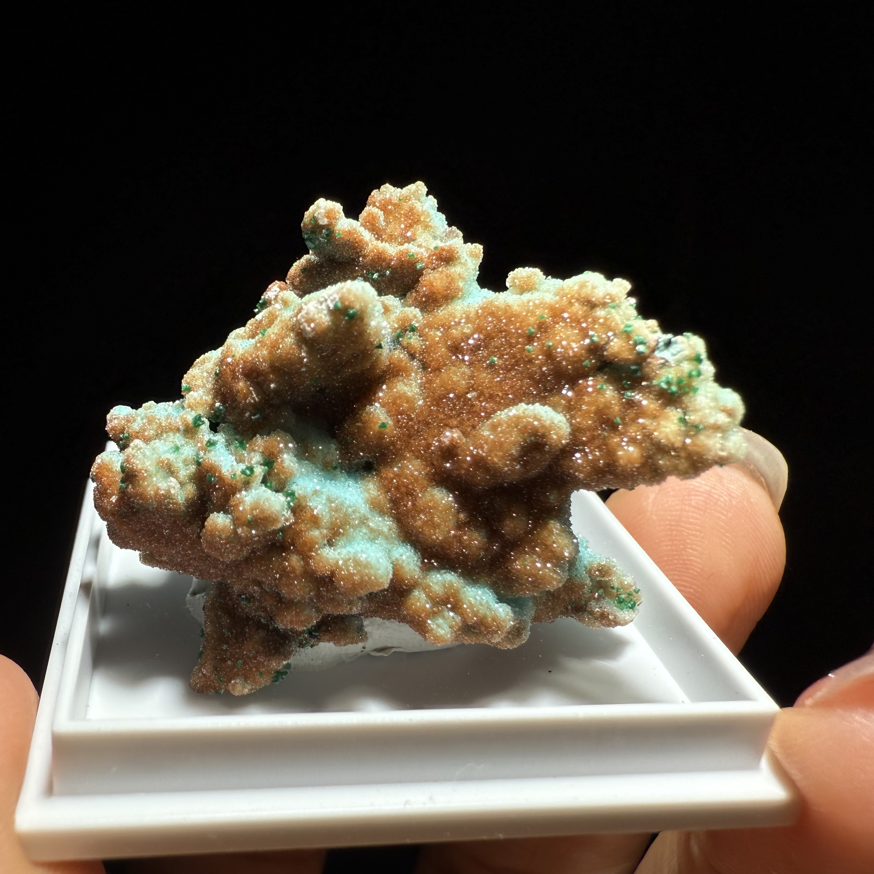 刚果 水晶包裹硅孔雀 小摆件