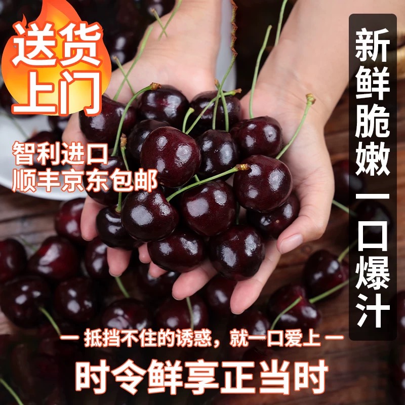 CCC原箱净重5斤3JD智利车厘子新鲜水果进口车厘子内附果径卡海运