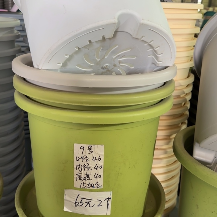 微瑕9#口径46无托果绿3个