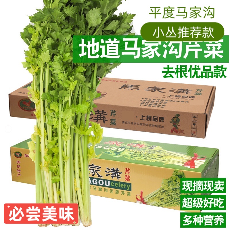 【带根】平度马家沟芹菜空心芹菜黄绿相间无筋无丝一秒开花芹菜