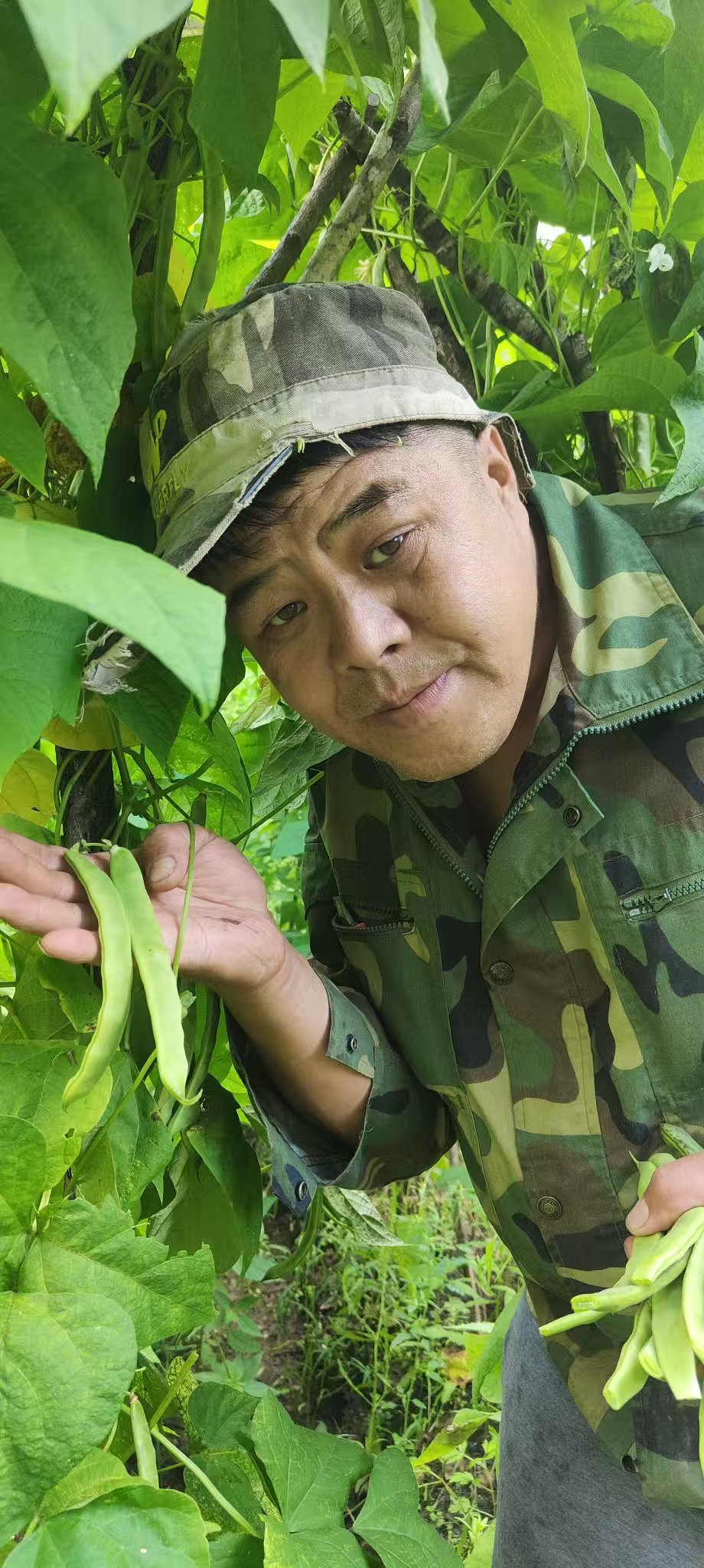 (伊春）东北油豆角丝