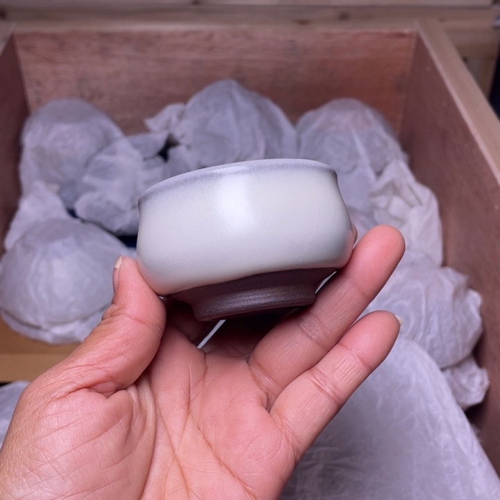 茶盏乐乐乐乐乐乐乐乐