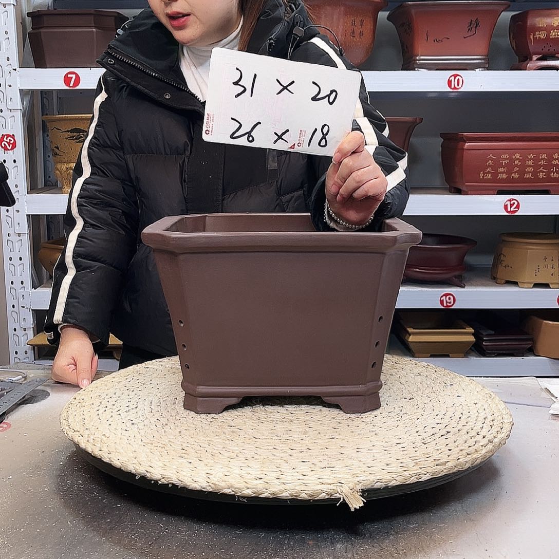 紫砂花盆紫砂花盆中