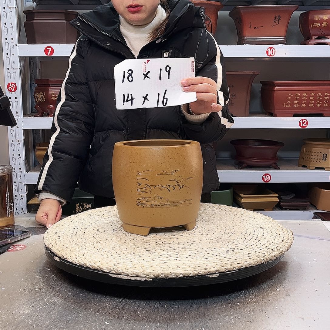 紫砂花盆紫砂花盆里