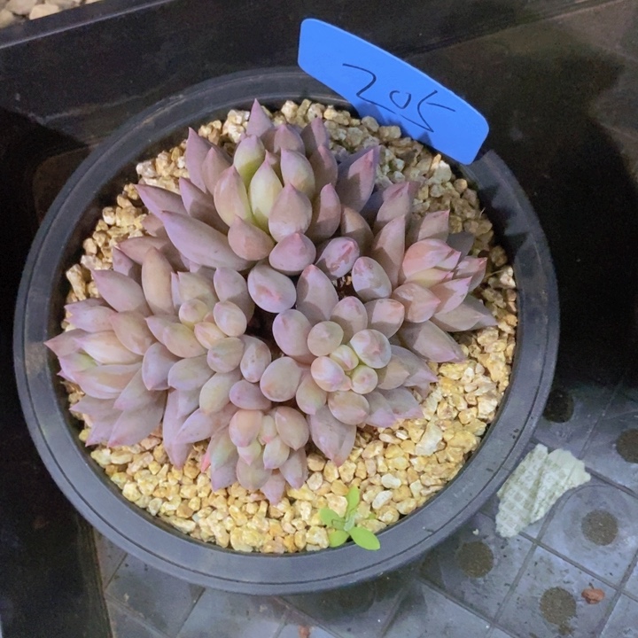 你也快回来吃饭哦我